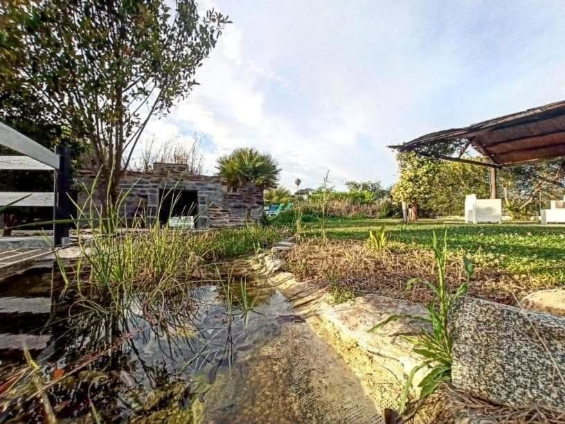 Villa Lusitaurus Montoito Exterior foto