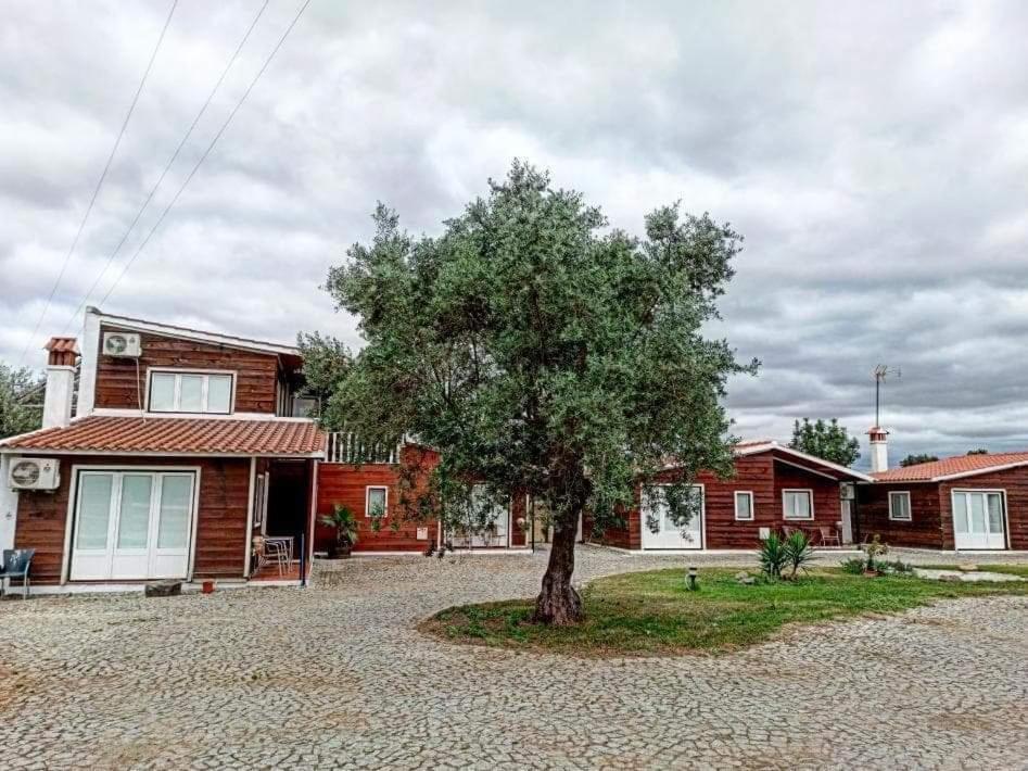 Villa Lusitaurus Montoito Exterior foto